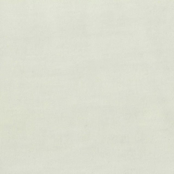 26S Mercerized BCI Cotton Jersey fabric main view