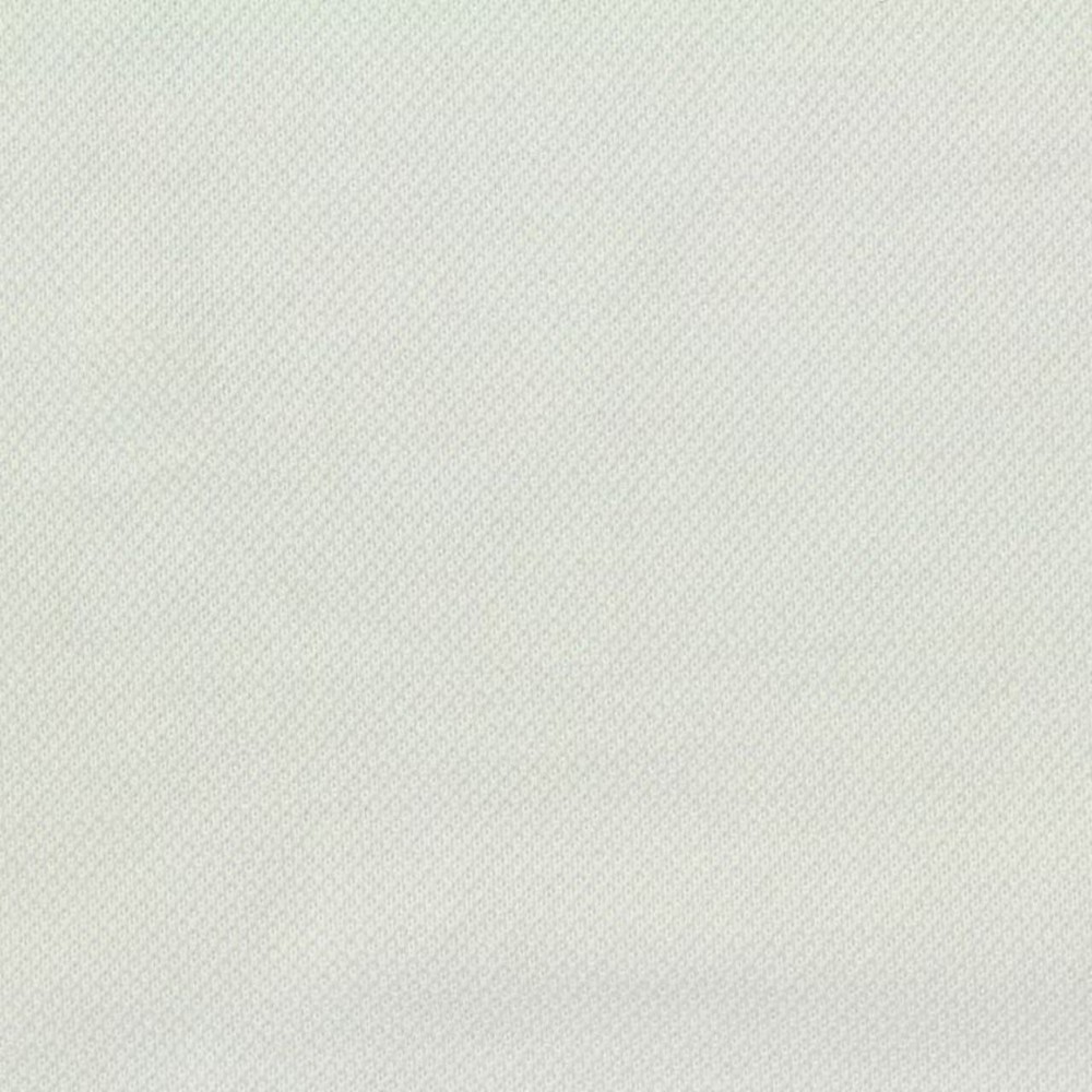 80S/3 Mercerized BCI Cotton Pique fabric main view