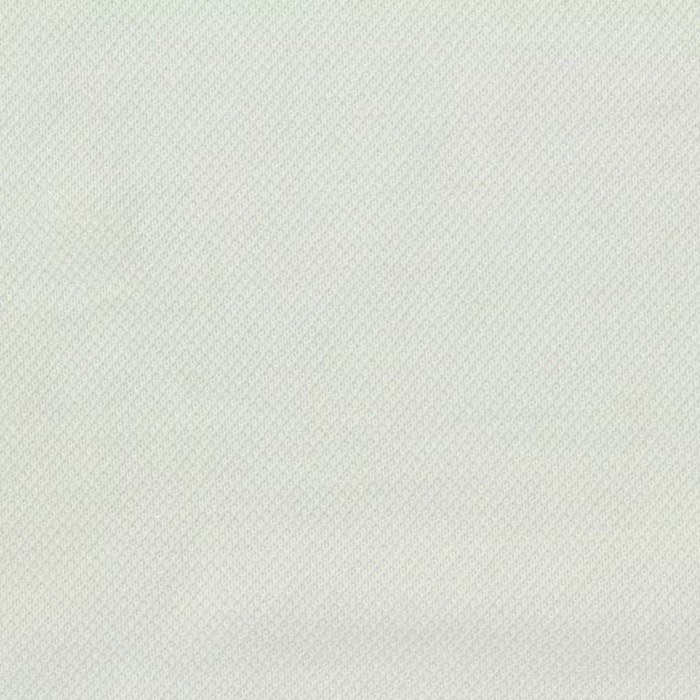80S/3 Mercerized BCI Cotton Pique fabric main view